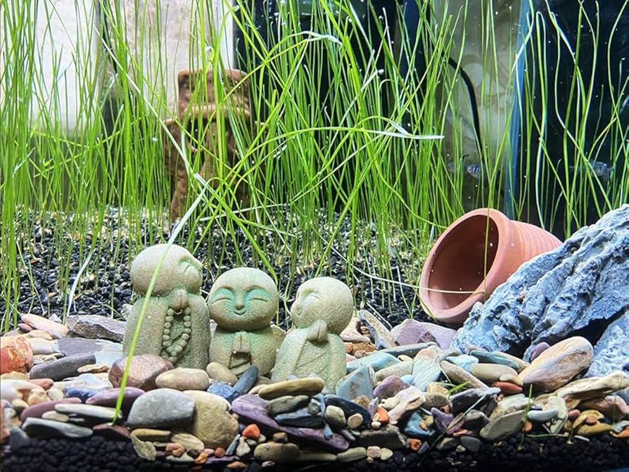 地蔵 お地蔵さん 観音様 えくぼ しあわせ 陶人形 置物 Amazon.co.jp: 地蔵 お地蔵さん 観音様 えくぼ しあわせ 陶人形